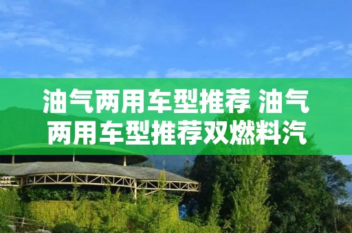 油气两用车型推荐 油气两用车型推荐双燃料汽车用的什么气 油气两用车型推荐 油气两用车型推荐双燃料汽车用的什么气