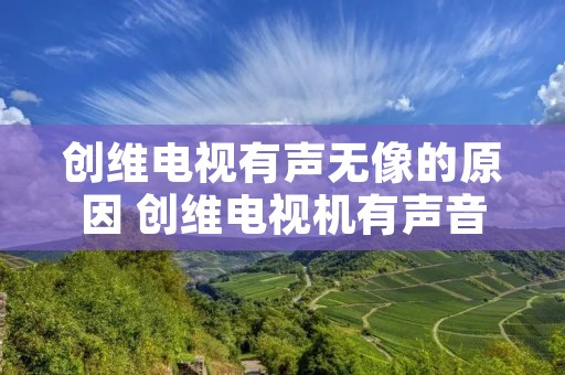创维电视有声无像的原因 创维电视机有声音无图像怎么办