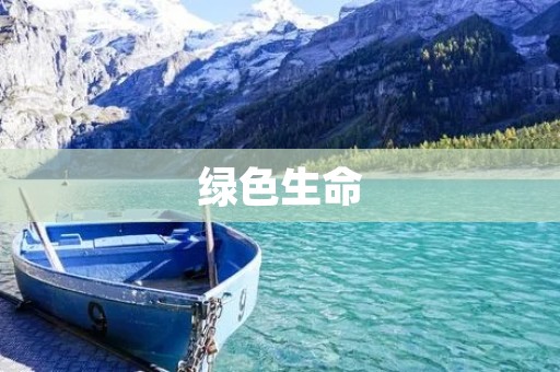 绿色生命：构建人与自然和谐共生的可持续发展