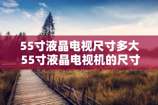 55寸液晶电视尺寸多大 55寸液晶电视机的尺寸是多少 55寸液晶电视尺寸多大 55寸液晶电视机的尺寸是多少
