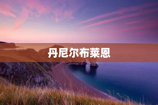 丹尼尔布莱恩:探索人性的小说** 丹尼尔布莱恩:探索人性的小说**