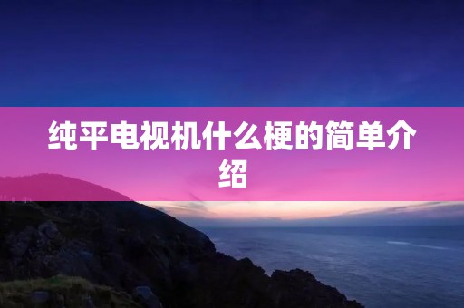 纯平电视机什么梗的简单介绍