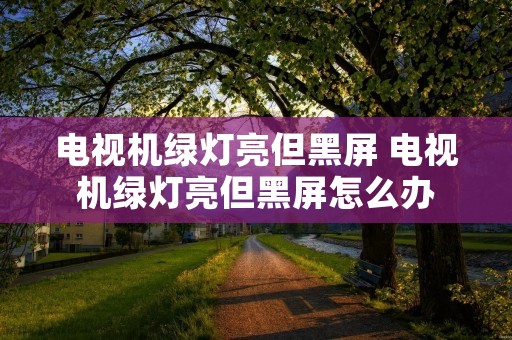 电视机绿灯亮但黑屏 电视机绿灯亮但黑屏怎么办