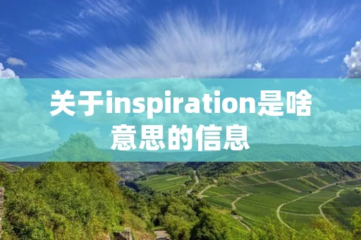 关于inspiration是啥意思的信息