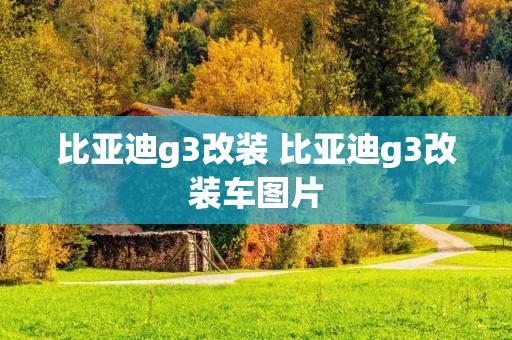 比亚迪g3改装 比亚迪g3改装车图片
