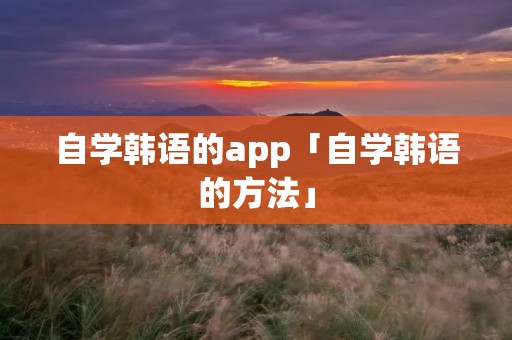 自学韩语的app「自学韩语的方法」