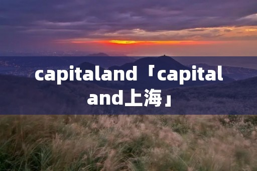 capitaland「capitaland上海」 capitaland「capitaland上海」