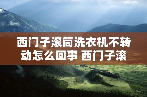 西门子滚筒洗衣机不转动怎么回事 西门子滚筒洗衣机不工作了怎么办