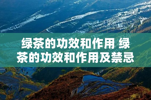绿茶的功效和作用 绿茶的功效和作用及禁忌