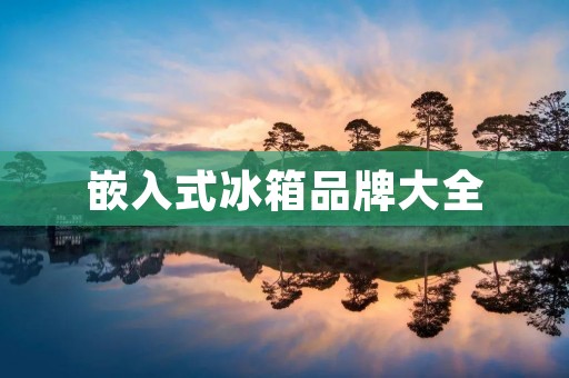 嵌入式冰箱品牌大全：选择最适合你的嵌入式冰箱