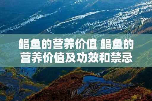 鲳鱼的营养价值 鲳鱼的营养价值及功效和禁忌