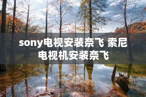 sony电视安装奈飞 索尼电视机安装奈飞