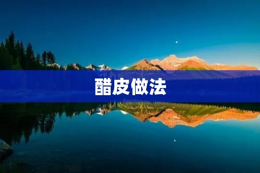 醋皮做法：让你轻松制作出美味口感的醋皮