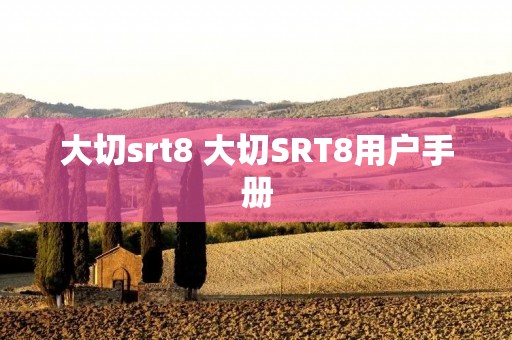 大切srt8 大切SRT8用户手册 大切srt8 大切SRT8用户手册
