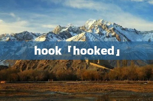 hook「hooked」