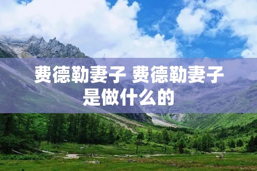 费德勒妻子 费德勒妻子是做什么的 费德勒妻子 费德勒妻子是做什么的