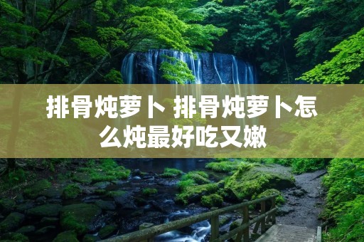 排骨炖萝卜 排骨炖萝卜怎么炖最好吃又嫩
