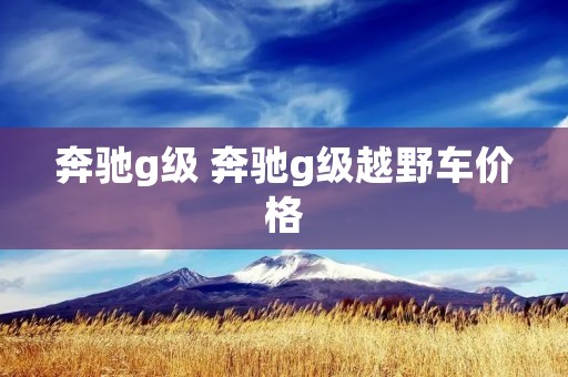 奔驰g级 奔驰g级越野车价格
