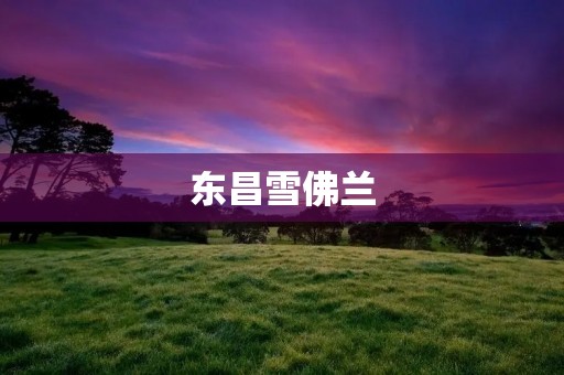 东昌雪佛兰:打造高品质的汽车服务 东昌雪佛兰:打造高品质的汽车服务