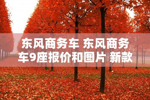 东风商务车 东风商务车9座报价和图片 新款 东风商务车 东风商务车9座报价和图片 新款