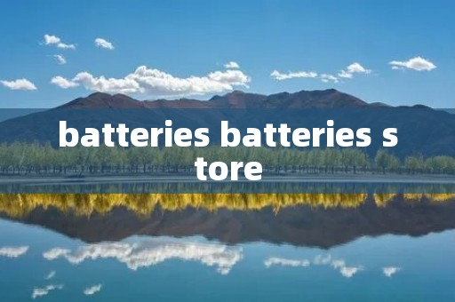 batteries batteries store