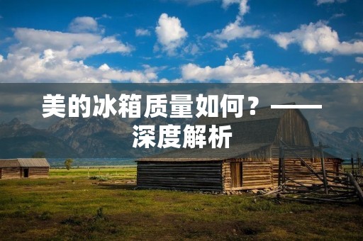 美的冰箱质量如何？——深度解析