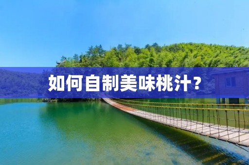如何自制美味桃汁？