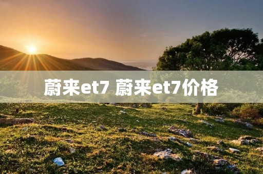 蔚来et7 蔚来et7价格