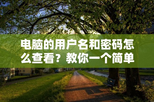 电脑的用户名和密码怎么查看?教你一个简单的方法!