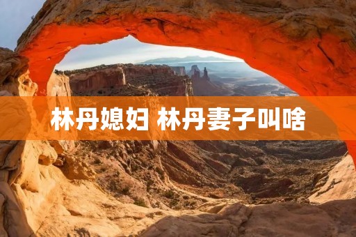 林丹媳妇 林丹妻子叫啥