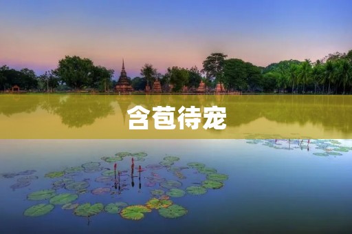 含苞待宠:女性如何在职场中获得更多的机会