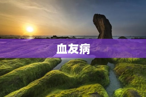 血友病:一种遗传性出血性疾病 血友病:一种遗传性出血性疾病