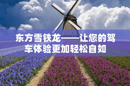 东方雪铁龙——让您的驾车体验更加轻松自如 东方雪铁龙——让您的驾车体验更加轻松自如