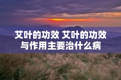 艾叶的功效 艾叶的功效与作用主要治什么病