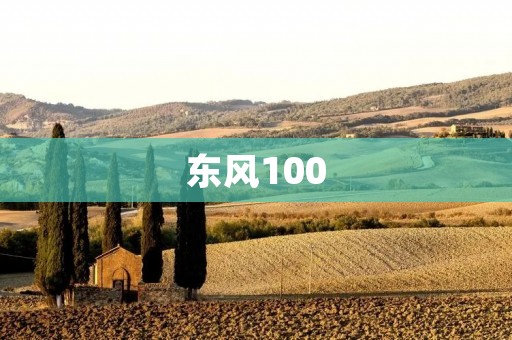 东风100:中国自主研发的新一代战斗机 东风100:中国自主研发的新一代战斗机