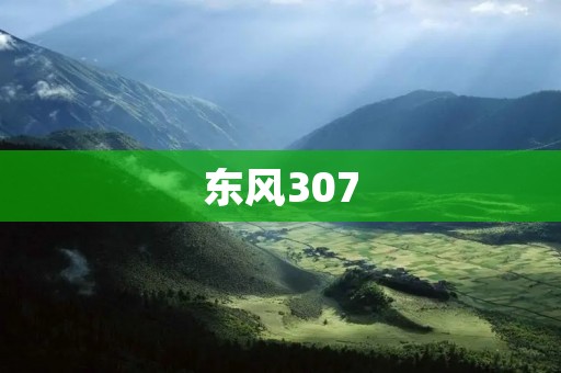东风307：品质卓越的经济型家用车
