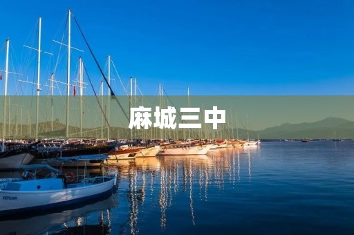 麻城三中:一个教育的摇篮