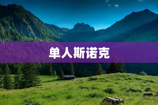 单人斯诺克：挑战自我，超越极限