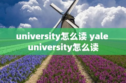 university怎么读 yale university怎么读