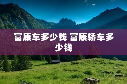 富康车多少钱 富康轿车多少钱