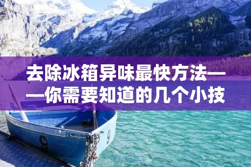 去除冰箱异味最快方法——你需要知道的几个小技巧
