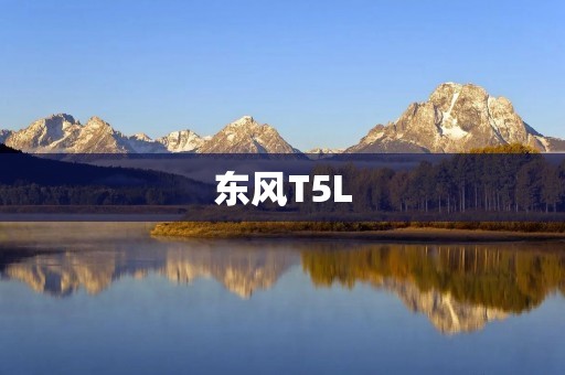 东风T5L:实力解读 东风T5L:实力解读