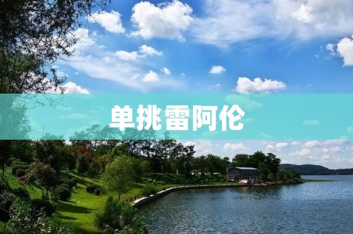 单挑雷阿伦：两位传奇球星的较量