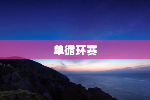 单循环赛：让比赛更公平