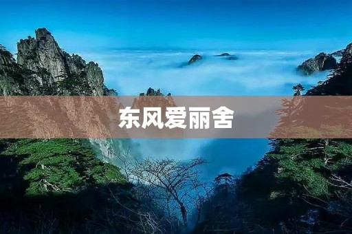 东风爱丽舍：静态与动态的完美结合
