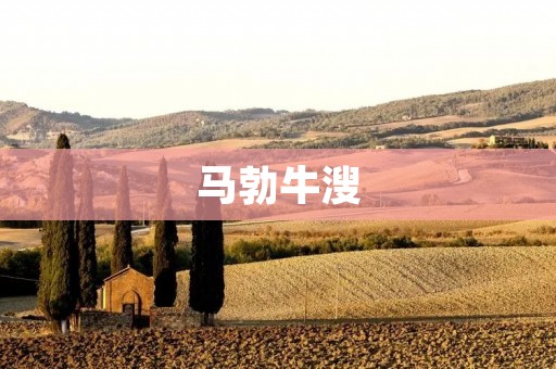 马勃牛溲:一道独特的美食佳肴