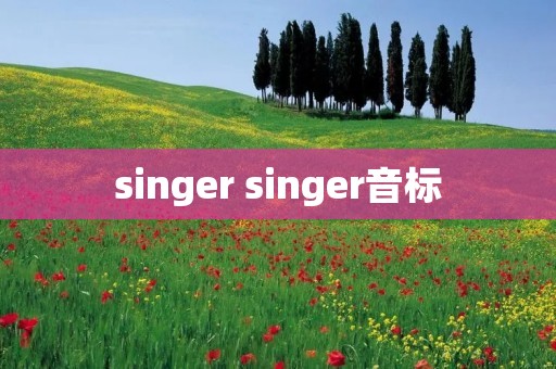singer singer音标