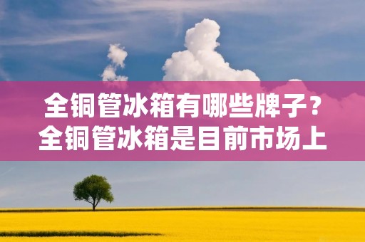 全铜管冰箱有哪些牌子？全铜管冰箱是目前市场上比较常见的一种冰箱，它的特点在于采用了全铜管技术，具有更好的耐腐蚀性和更高的耐久性。那么，市场上有哪些品牌的全铜管冰箱呢？下面就为大家介绍几款比较常见的全铜管冰箱品牌。