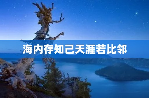 海内存知己天涯若比邻:诗意中的友情
