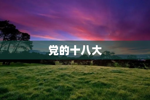 党的十八大:中国共产党历史上的重要节点 党的十八大:中国共产党历史上的重要节点